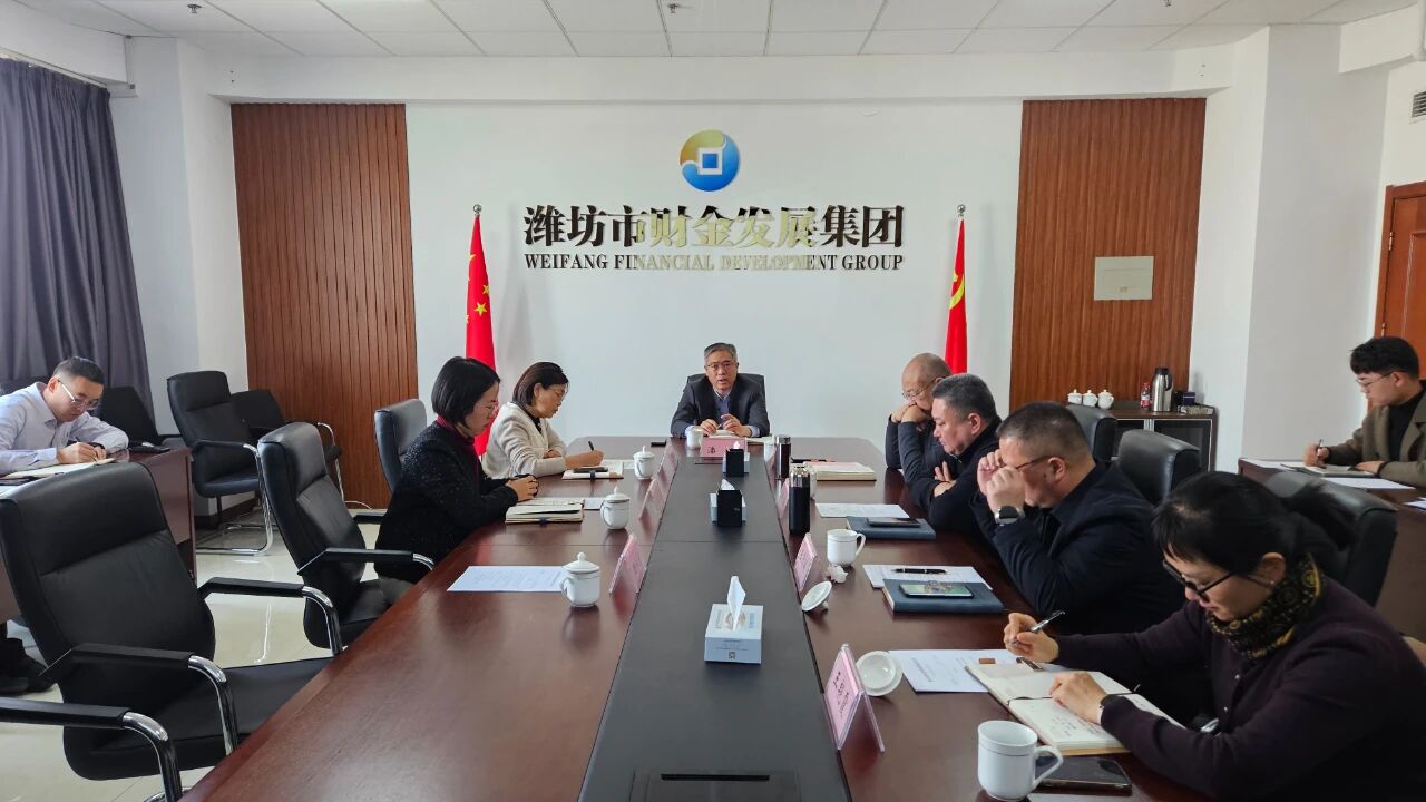市财金集团召开党委（扩大）会议